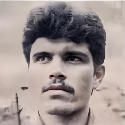 Shahid halo